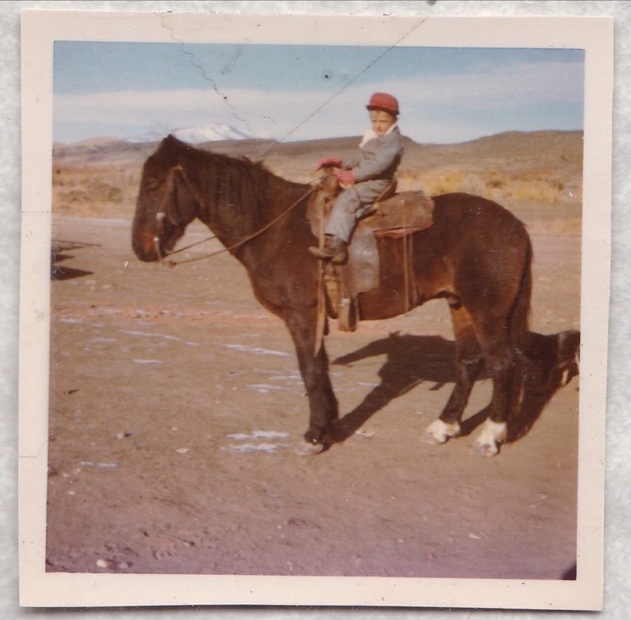Dirty Old Dog Horse