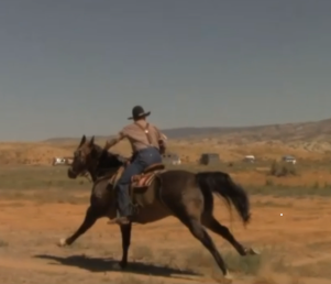 Long Race