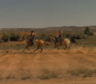 Sprint Race