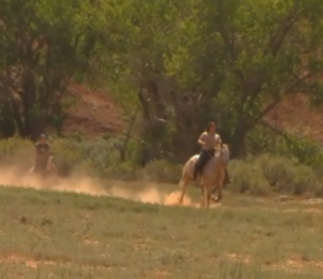 Pony Race